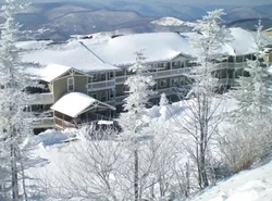 301 D Summit Dr. , Snowshoe Mountains, WV 26209