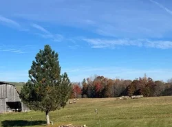 Smiths In-law suite! Pet friendly!