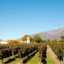 Cafayate Accommodation Houston