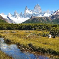 Santa Cruz Accommodation Houston