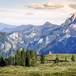 Salzburg Accommodation Houston