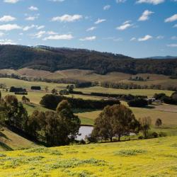 Victoria Accommodation Houston