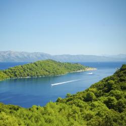 Mljet Island Accommodation Houston