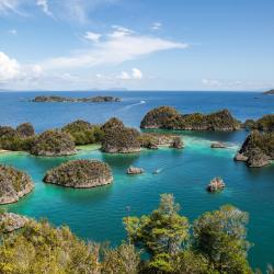Raja Ampat Accommodation Houston