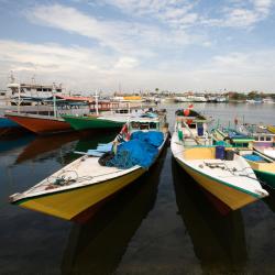 South Sulawesi Accommodation Houston