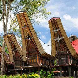 Sulawesi Accommodation Houston