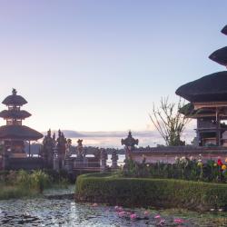 Tabanan Accommodation Houston