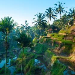 Ubud Accommodation Houston