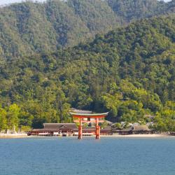 Aichi Accommodation Houston