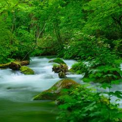 Aomori Accommodation Houston