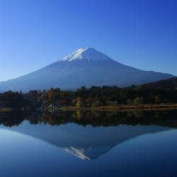 Mount Fuji Accommodation Houston