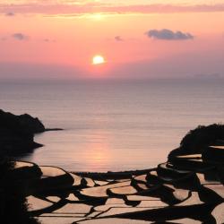 Saga Accommodation Houston