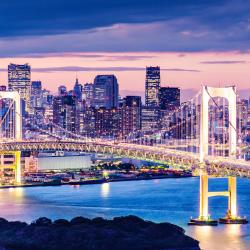 Tokyo Accommodation Houston