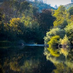 Beira Alta Accommodation Houston