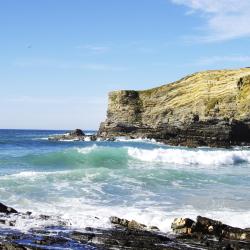 Costa Alentejana Accommodation Houston