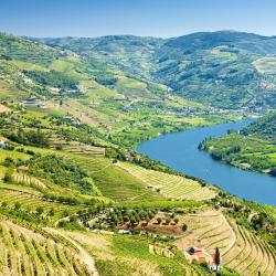 Norte Region Accommodation Houston