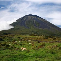 Pico island Accommodation Houston