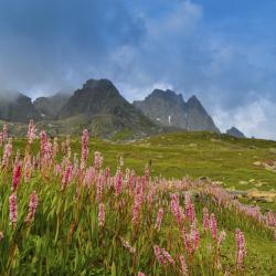 Santa Maria Accommodation Houston