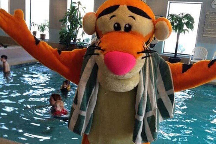 Bayside Resort Hotel - thumb 4