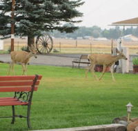 Rim Rock Motel - Accommodation Houston