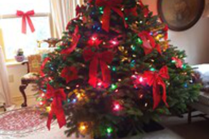 Hubers Inn Port Townsend - thumb 4