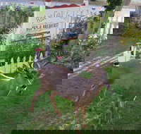 Blue Gull Inn BB - Accommodation Houston