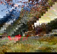 Clydesdale Outpost - Accommodation Houston