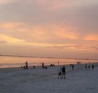 5583 Estero Blvd Iguana Mama's Beach House - Accommodation Houston