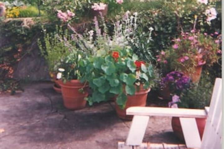 Bay Cottage - thumb 2