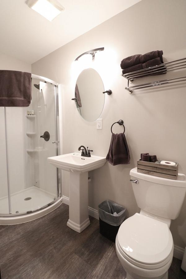 Yard Geese- Galloping Goose Cottages - thumb 4