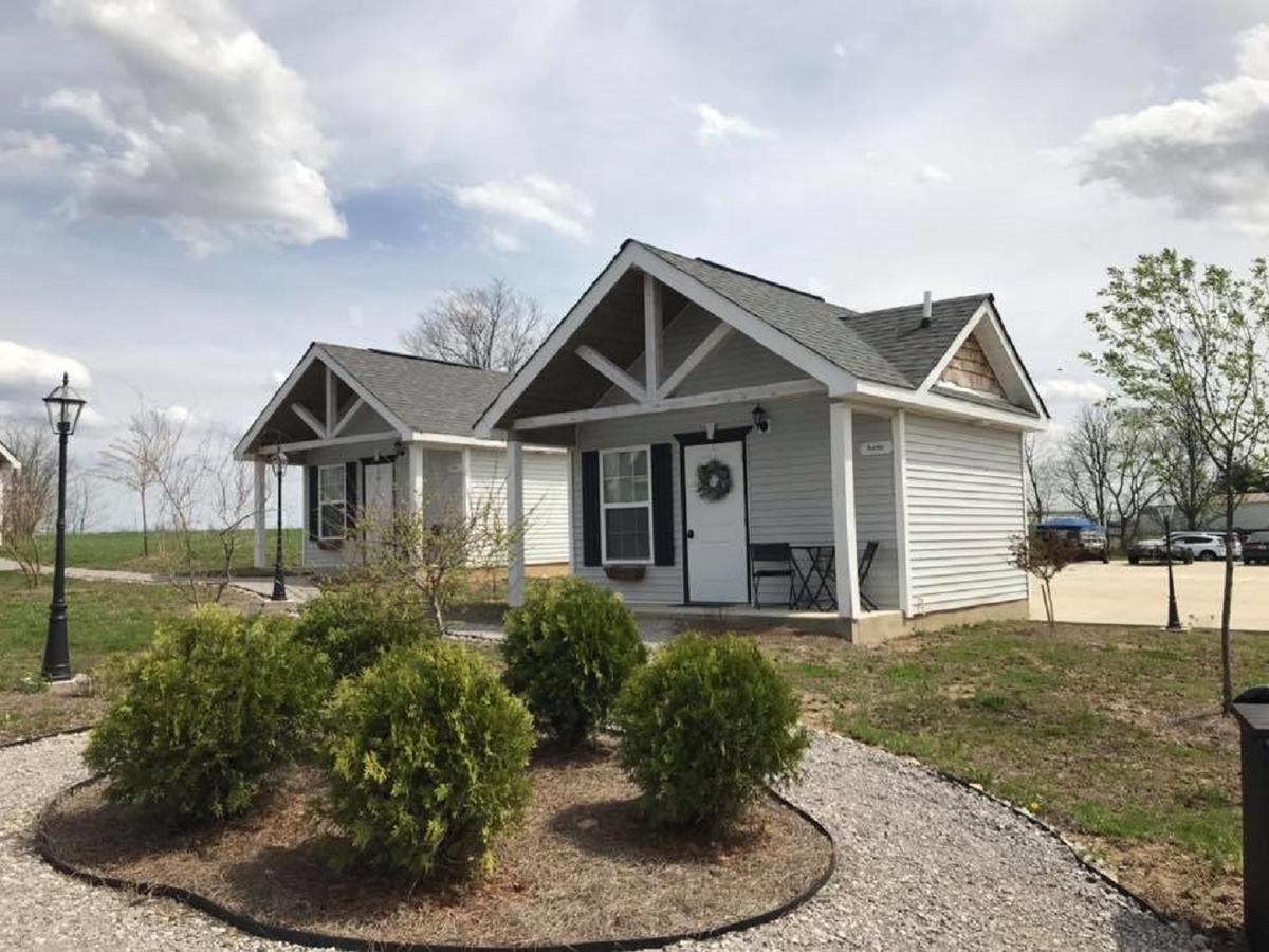 Yard Geese- Galloping Goose Cottages - thumb 7