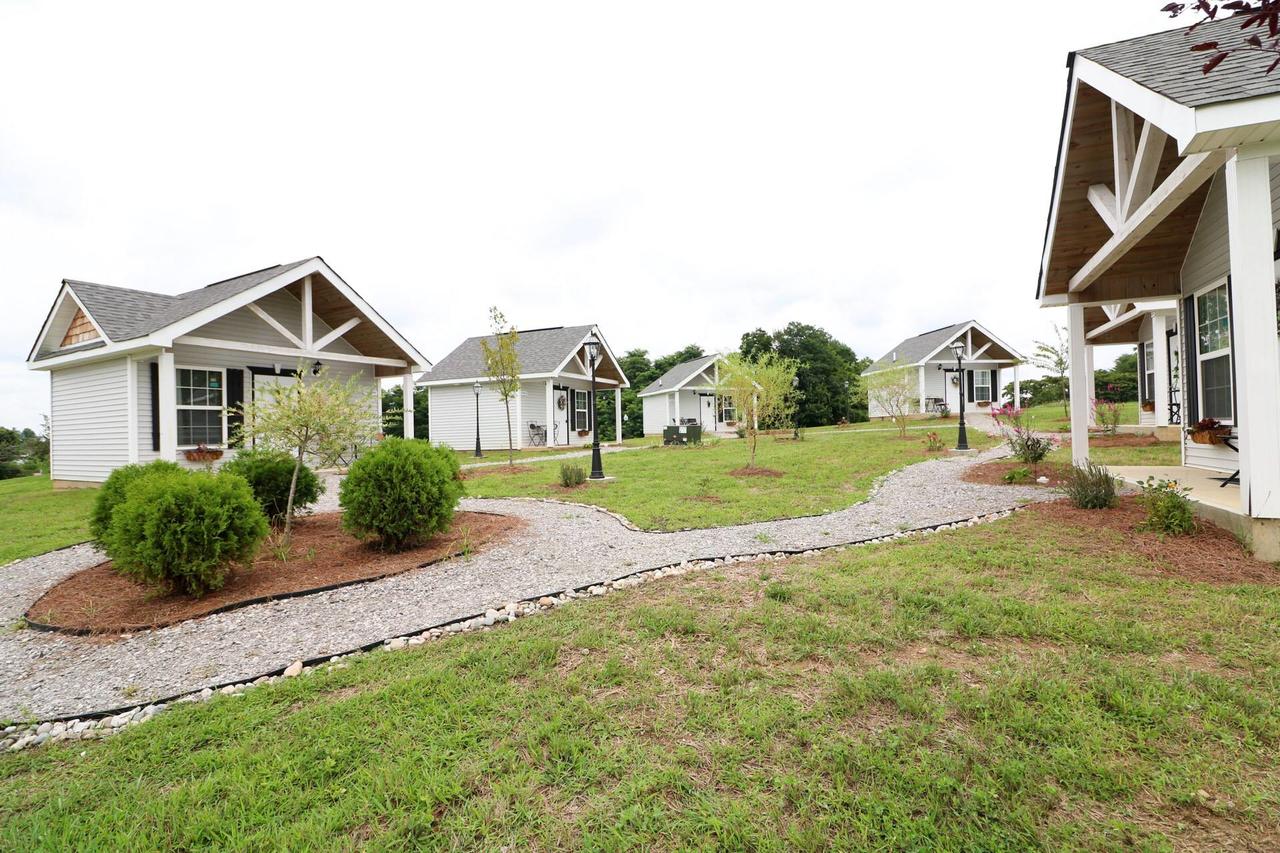 Yard Geese- Galloping Goose Cottages - thumb 8