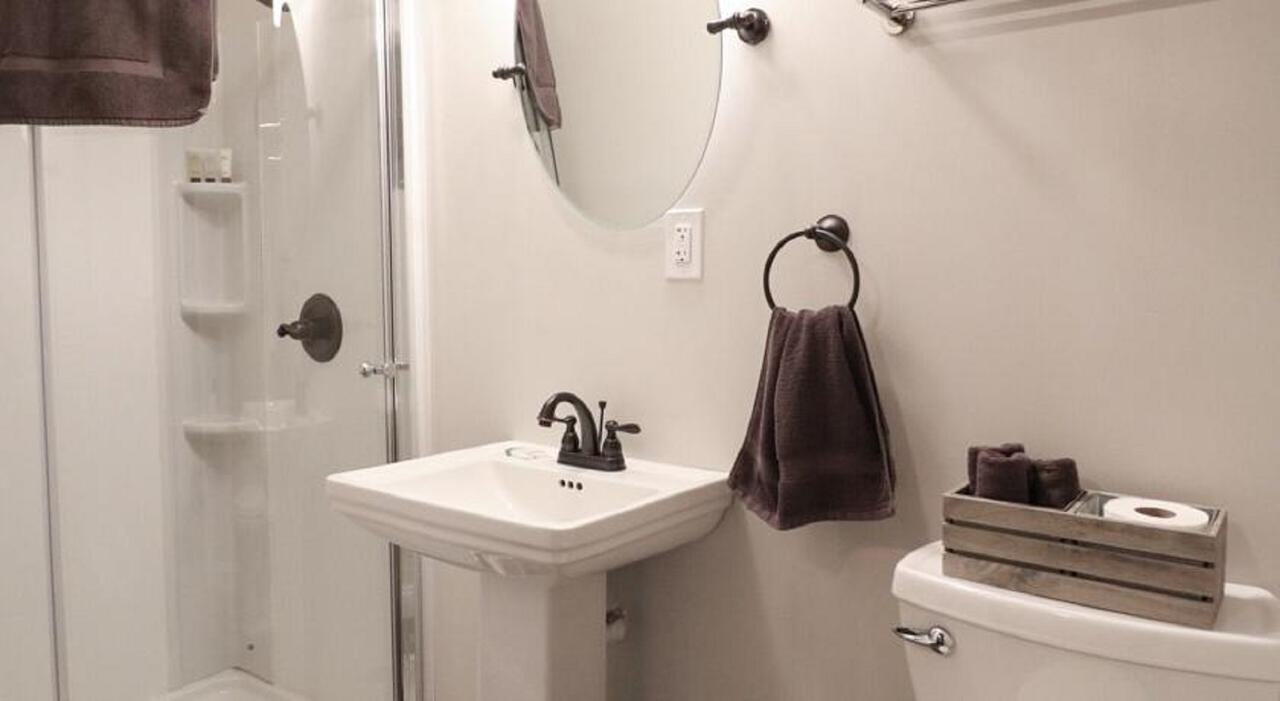 Yard Geese- Galloping Goose Cottages - thumb 5