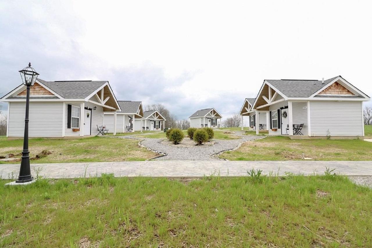 Yard Geese- Galloping Goose Cottages - thumb 9