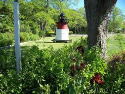 Viking Shores Motor Inn - thumb 20