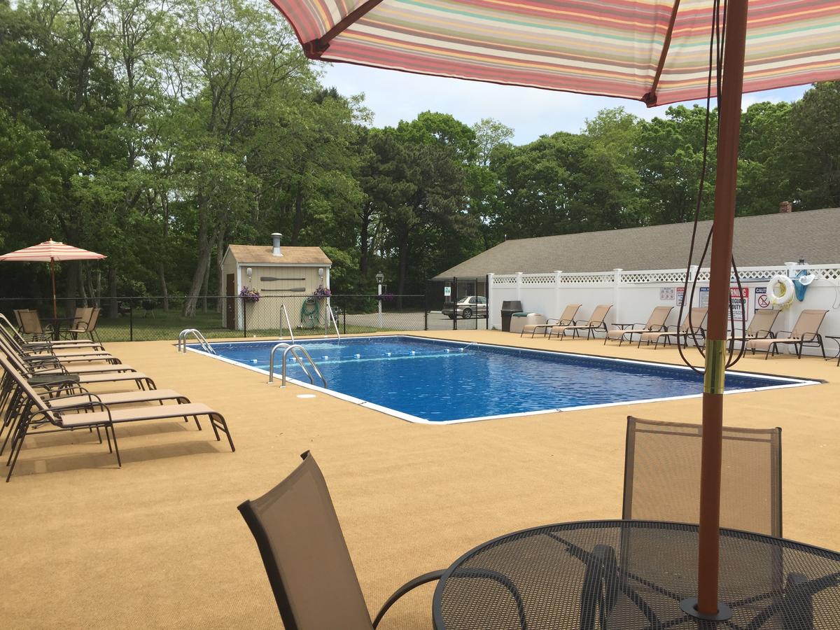 Viking Shores Motor Inn - thumb 1