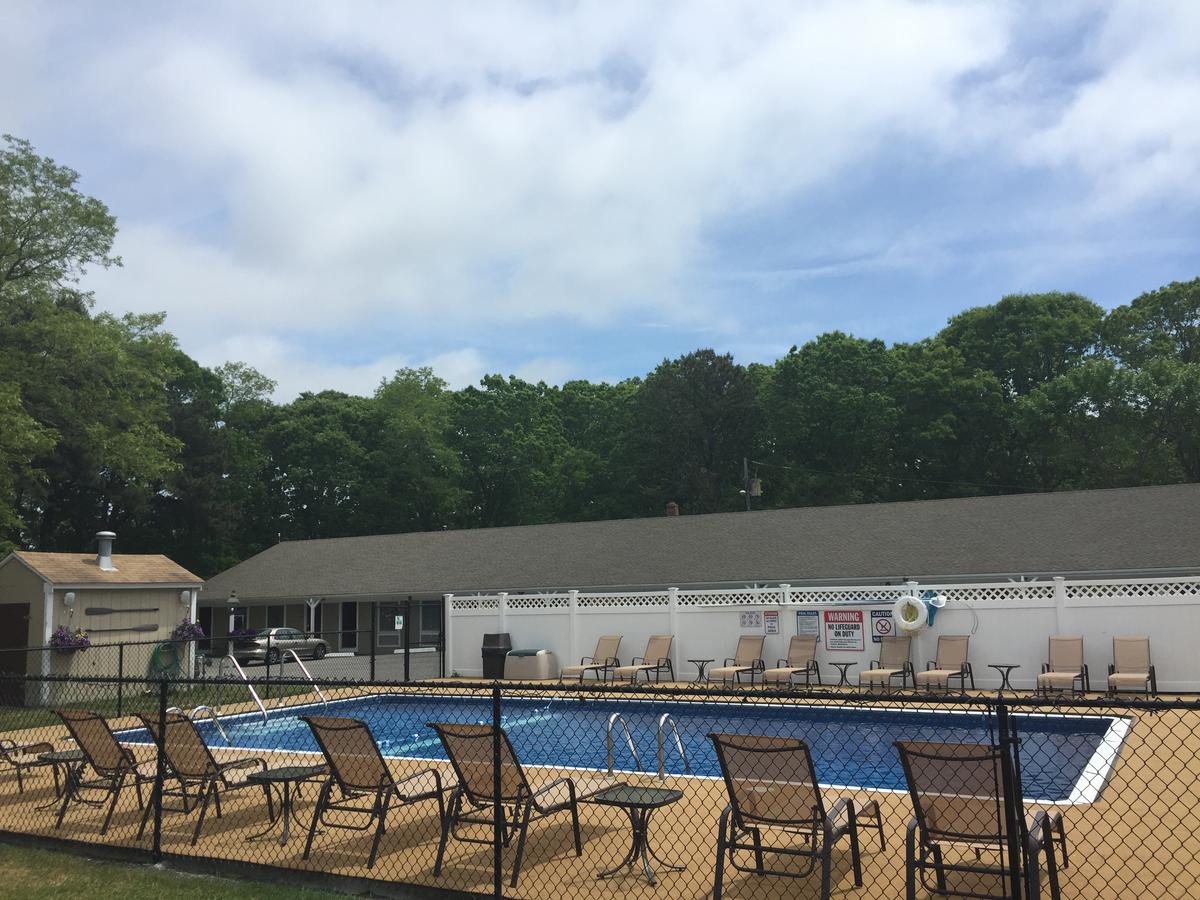 Viking Shores Motor Inn - thumb 3