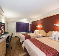 Red Roof Inn Hickory - Accommodation Houston