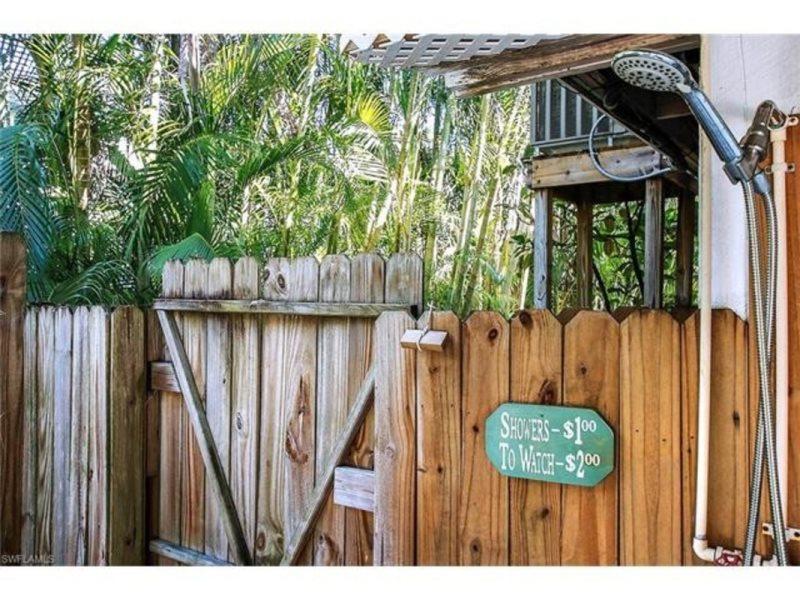 YELLOW FIN ON CARDIUM - thumb 6