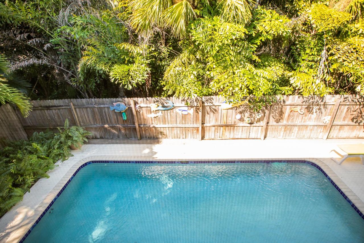 YELLOW FIN ON CARDIUM - thumb 23