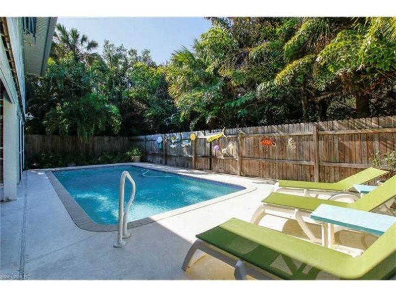 YELLOW FIN ON CARDIUM - thumb 22