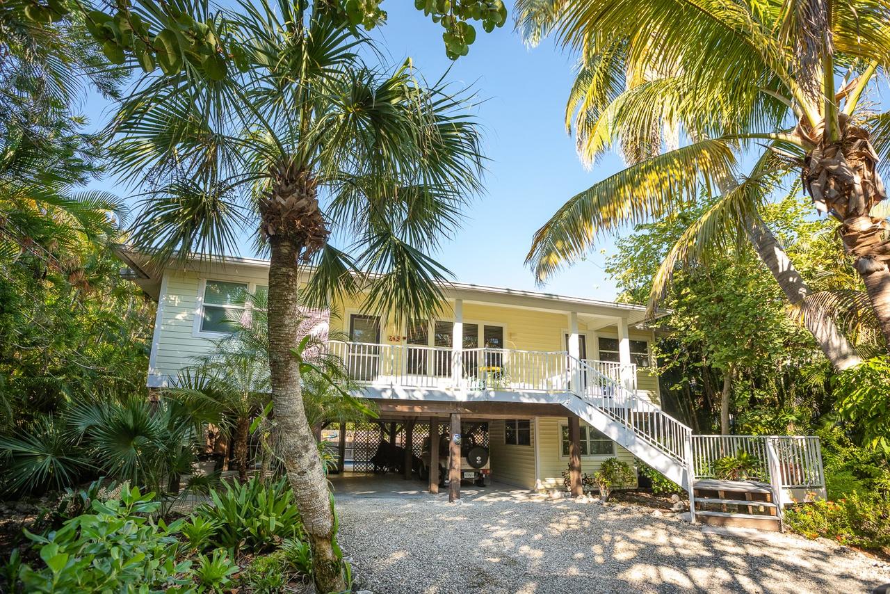 YELLOW FIN ON CARDIUM - thumb 0