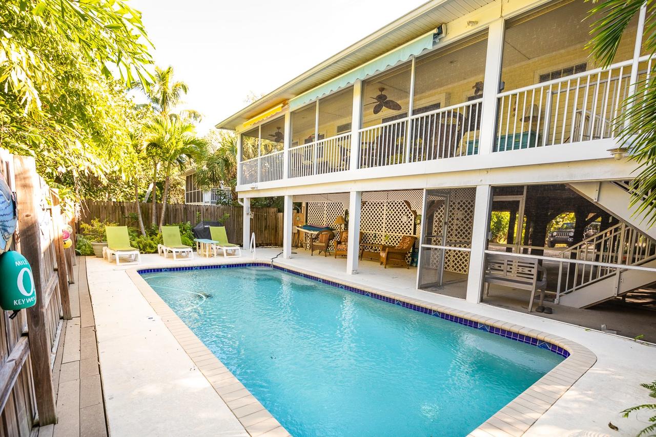 YELLOW FIN ON CARDIUM - thumb 1