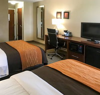 Comfort Inn Clemson - University Area - Accommodation Houston