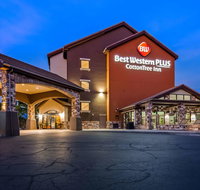 Best Western Plus Cotton Tree Inn - Accommodation Houston