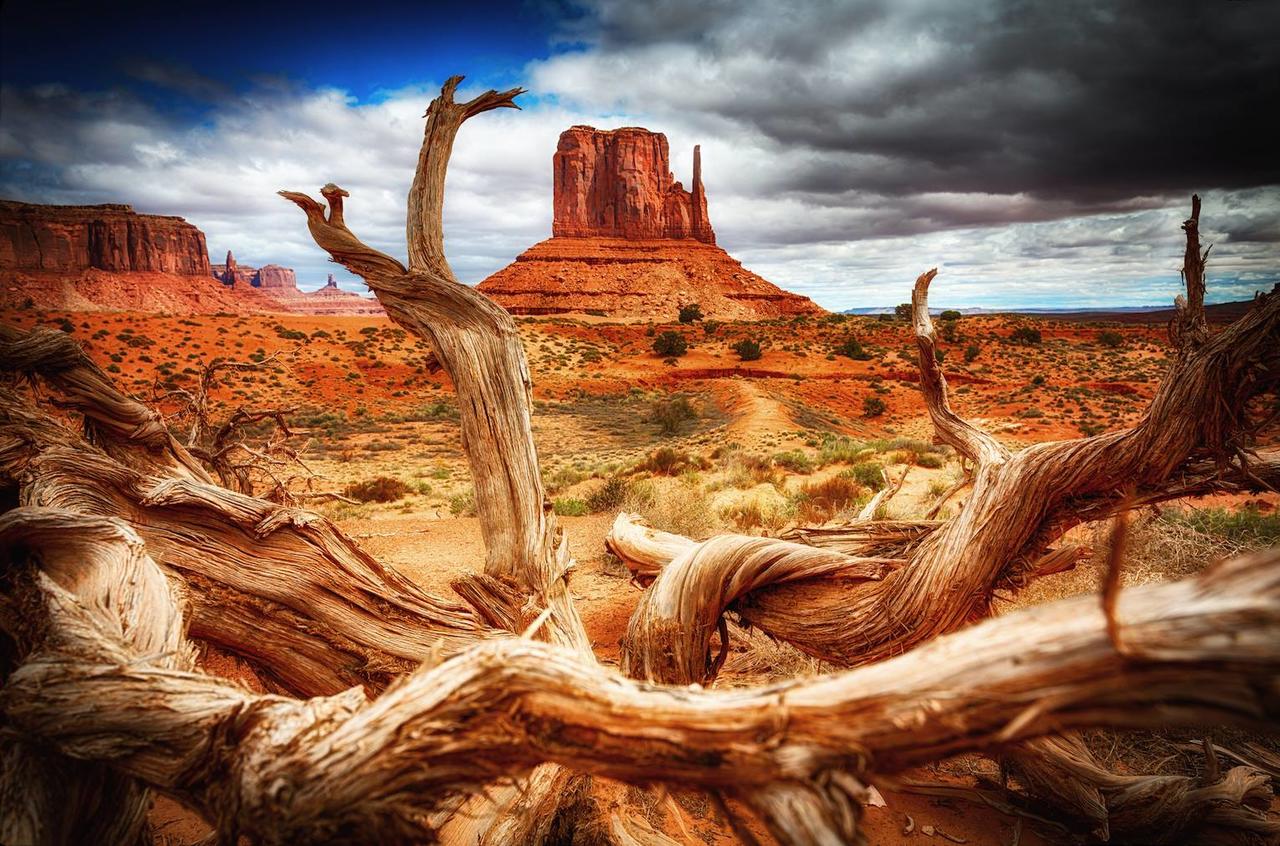 Desert Rose Resort & Cabins - thumb 11