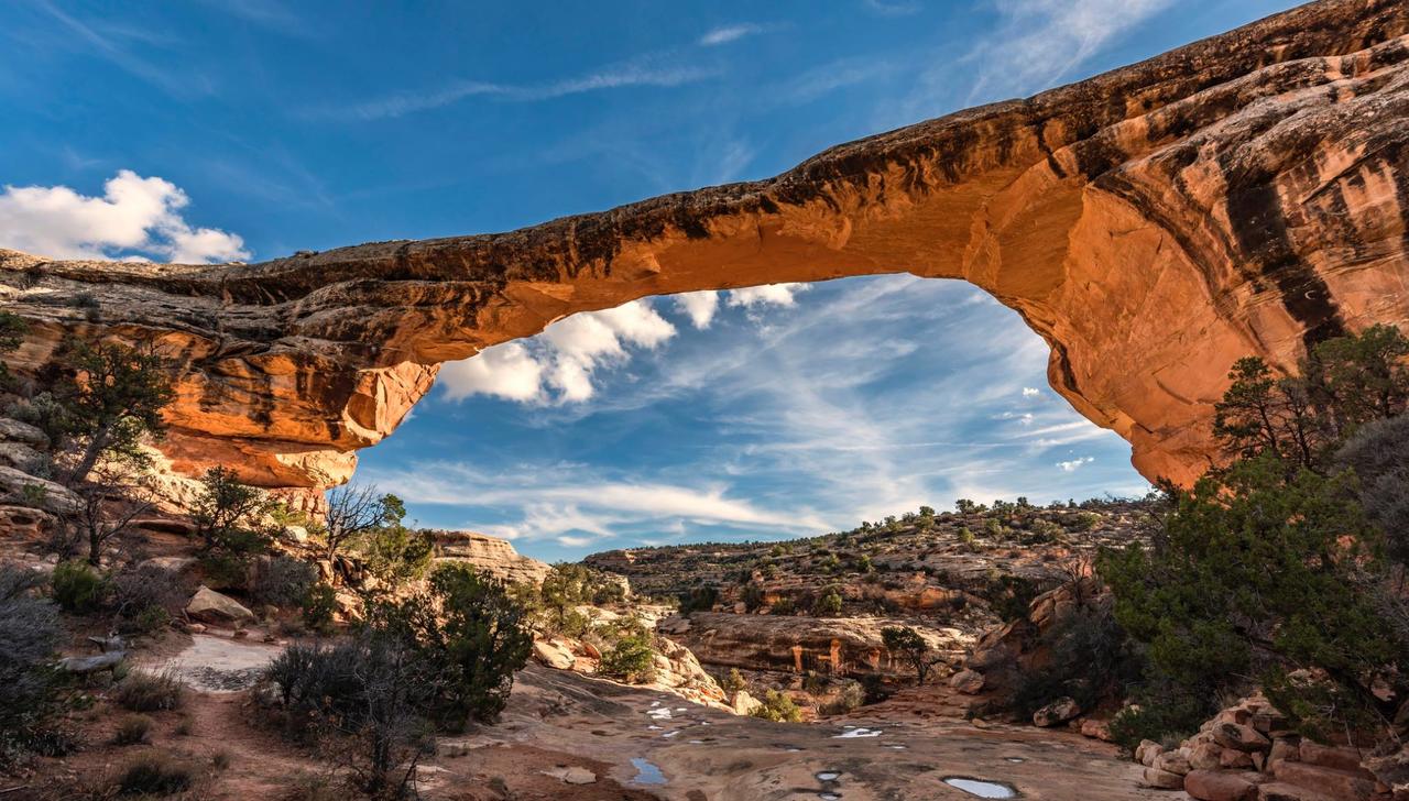 Desert Rose Resort & Cabins - thumb 16