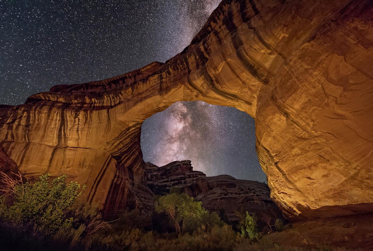 Desert Rose Resort & Cabins - thumb 15