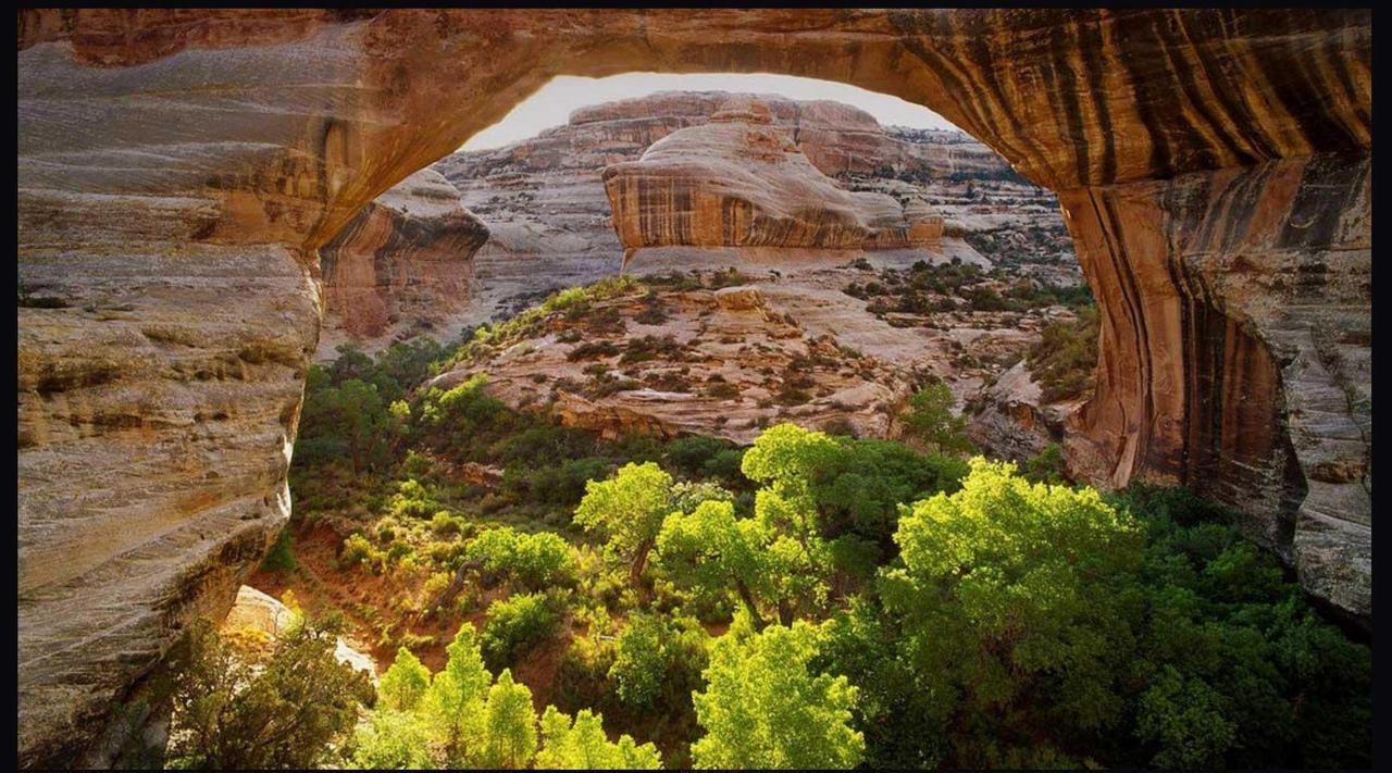 Desert Rose Resort & Cabins - thumb 14