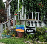 The One Cat - Accommodation Houston